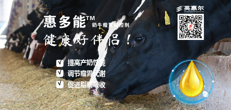 画板 1-100.jpg