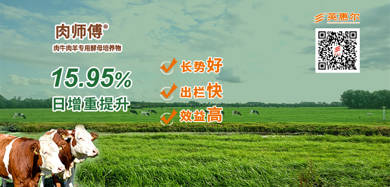 肉师�?广告�?.jpg