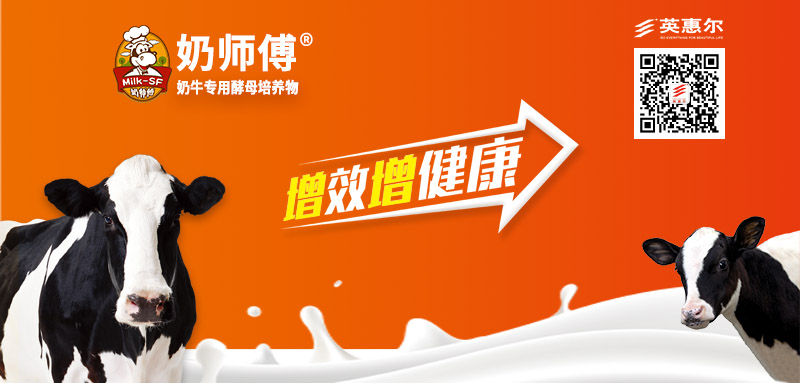 奶师傅广告图.jpg